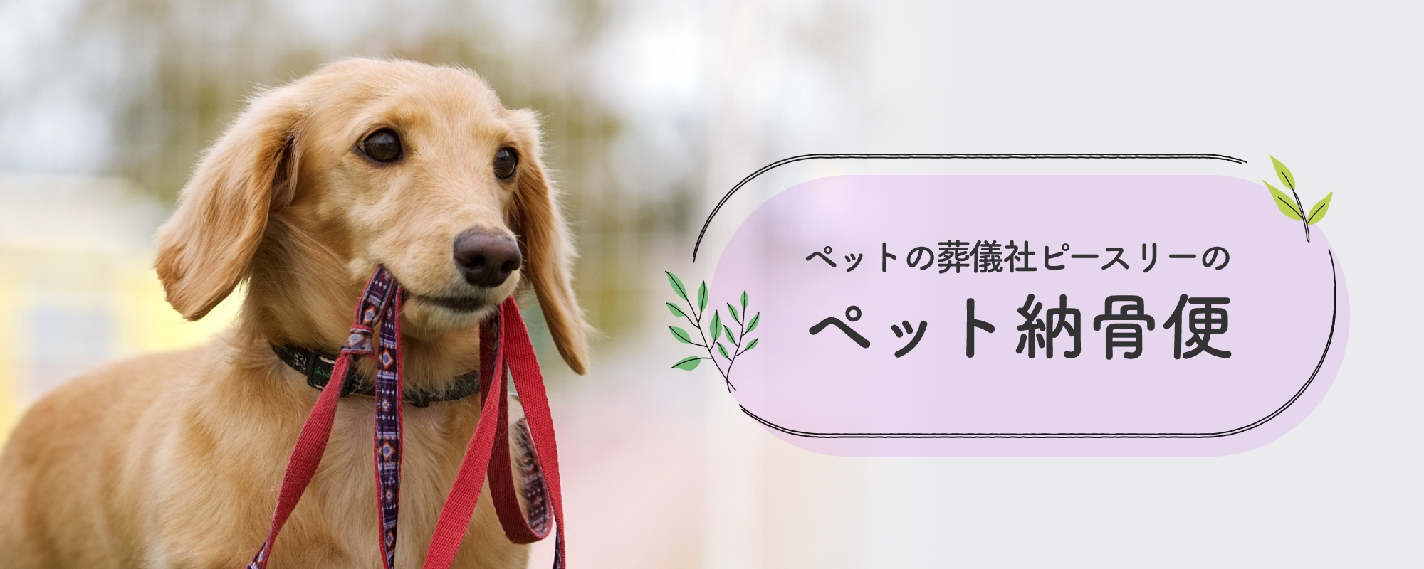 ペットの葬儀社ピースリーのペット納骨便