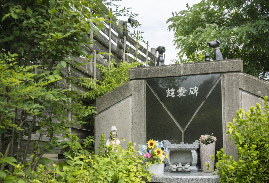 パワースポット「和気の岩」そばの辰口本店は、自然豊かな環境